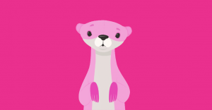 pink carnival ferret
